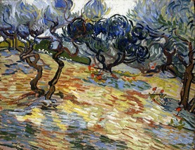 Vincent van Gogh - Drzewa oliwne