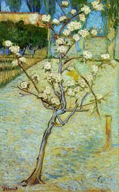 Vincent van Gogh - Mała kwitnąca grusza
