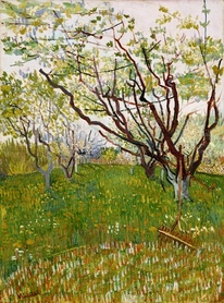 Vincent van Gogh - kwitnący sad (wiśnia)