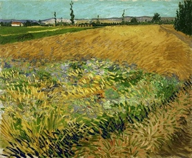 Vincent van Gogh - Pole pszenicy 