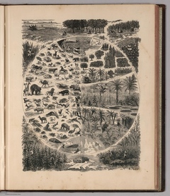 1883r. - Ilustracja roślin i zwierząt oraz zbioru plonów w Królestwie