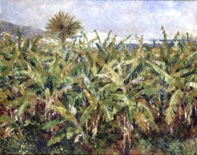 Auguste Renoir - Pole drzew bananowych (Field of Banana Trees)