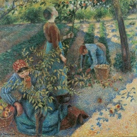 Camille Pissarro - Owocobranie (Apple Picking)