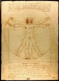 Leonardo da Vinci - Człowiek witruwiański