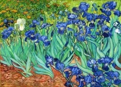 Vincent van Gogh - Irysy