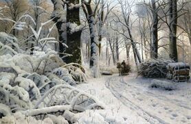 Peter Monsted - Drewno w śniegu
