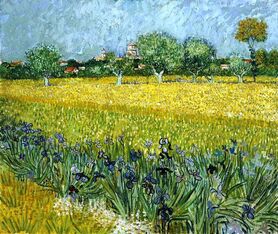 Vincent van Gogh - Pole kwiatów w pobliżu Arles