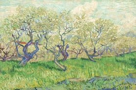 Vincent van Gogh - Kwitnący sad 2