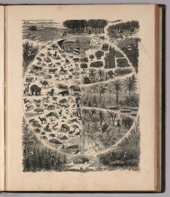 1883r. - Ilustracja roślin i zwierząt oraz zbioru plonów w Królestwie