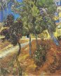 Vincent van Gogh - Drzewa w ogrodzie szpitala Saint-Paul