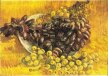 Vincent van Gogh - Winogrona