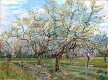 Vincent van Gogh - Kwitnący sad