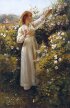 Robert Payton Reid - Dzika róża