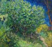 Vincent van Gogh - Bzy