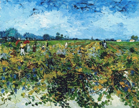 Vincent Van Gogh - Zielona winnica (1)