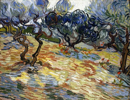 Vincent van Gogh - Drzewa oliwne (1)
