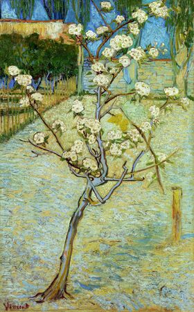 Vincent van Gogh - Mała kwitnąca grusza (1)