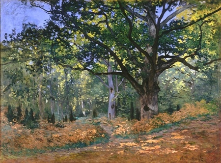 Claude Monet - The Bodmer Oak, Fontainebleau Forest (1)
