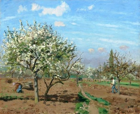 Camille Pissarro - Sad w rozkwicie, Louveciennes (Orchard in Bloom, Louveciennes) (1)