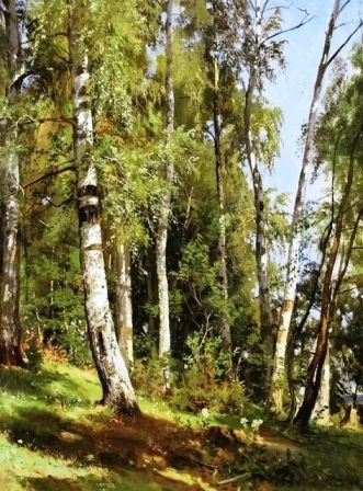 Ivan Shishkin - Brzozowy las (1)