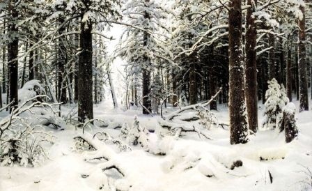 Ivan Shishkin - Zima w lesie (1)