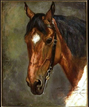 Juliusz Kossak - Głowa konia (1)