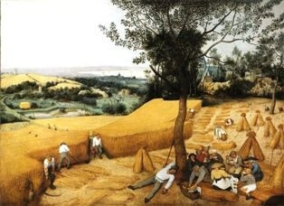 Pieter Bruegel - Żniwa (1)