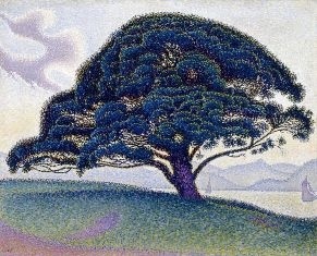 Paul Signac - Drzewo Bonaventury (1)