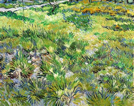 Vincent van Gogh - Długa trawa z motylami (1)