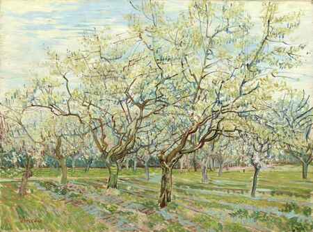 Vincent van Gogh - Kwitnący sad (1)