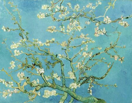 Vincent van Gogh - Kwitnący migdałowiec  (1)