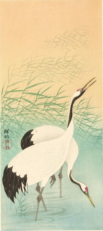 Ohara Koson - Two Craners 