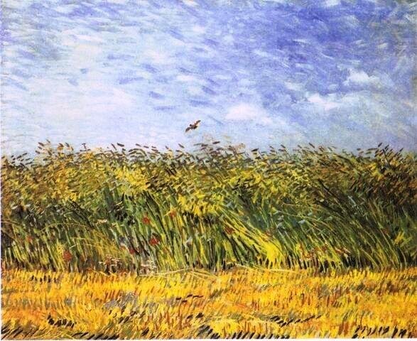 Vincent van Gogh - Pole pszenicy ze skowronkiem 