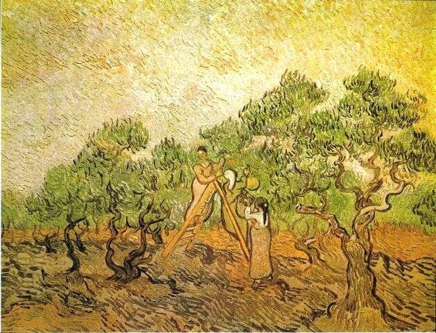 Vincent van Gogh - Zbieracze oliwek III