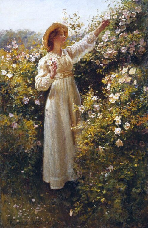 Robert Payton Reid - Dzika róża